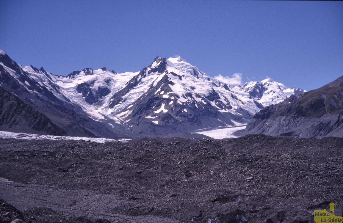 NZ 0115