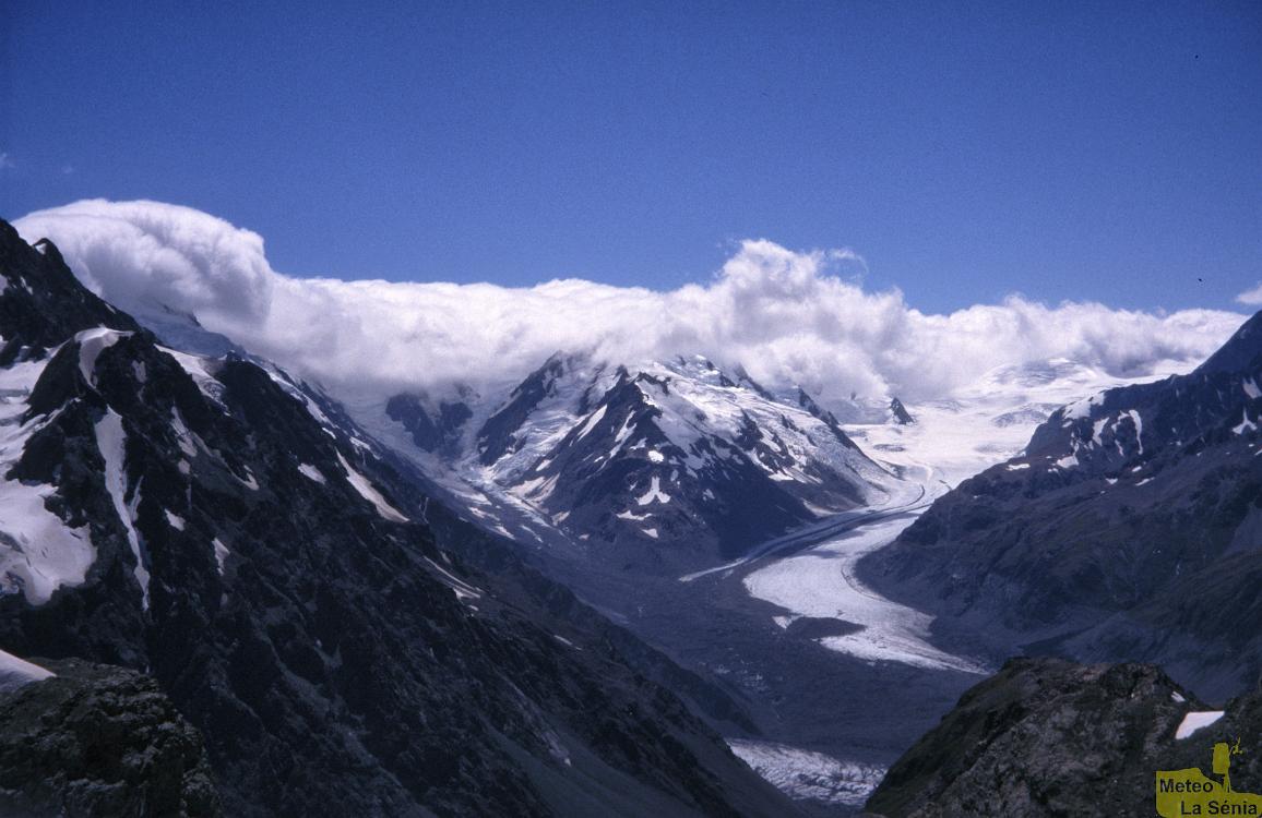 NZ 0201