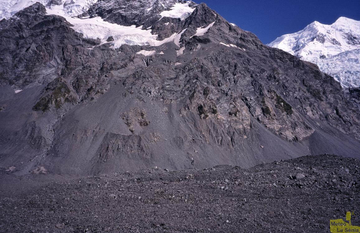 NZ 0236
