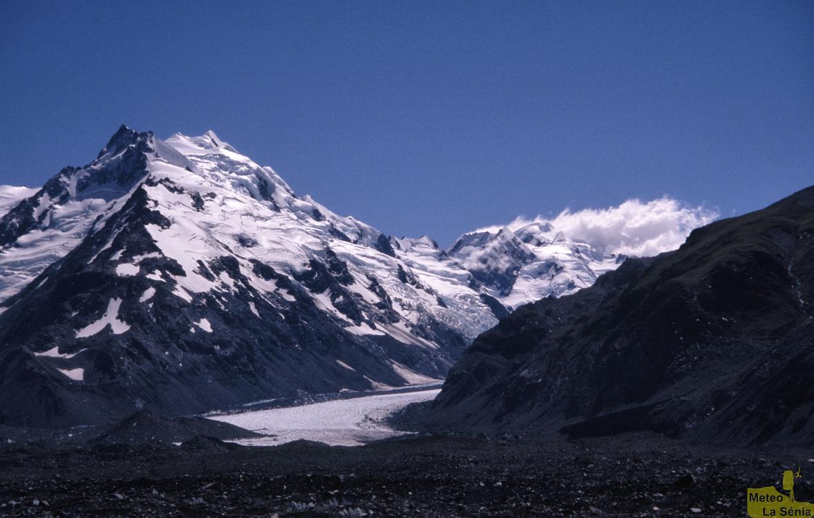 NZ 0263