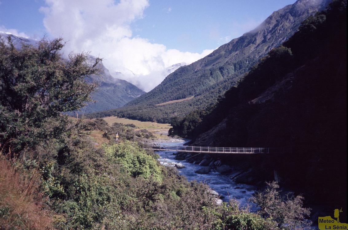 NZ 0346