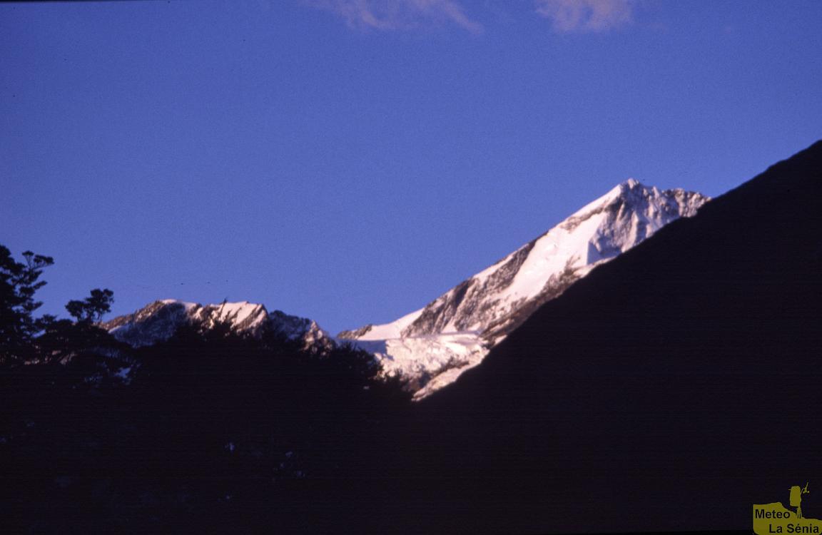 NZ 0427