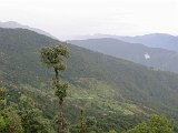 Trekking al Himalaia del Garwal