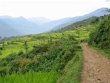 Trekking al Himalaia del Garwal