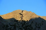 La travessa dels Pirineus per la A.R.P.