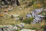 La travessa dels Pirineus per la A.R.P.