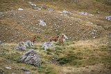 La travessa dels Pirineus per la A.R.P.