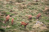 La travessa dels Pirineus per la A.R.P.