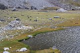 La travessa dels Pirineus per la A.R.P.