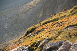 La travessa dels Pirineus per la A.R.P.