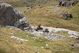 La travessa dels Pirineus per la A.R.P.