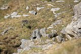 La travessa dels Pirineus per la A.R.P.