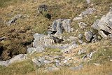 La travessa dels Pirineus per la A.R.P.