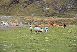 La travessa dels Pirineus per la A.R.P.