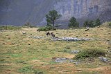 La travessa dels Pirineus per la A.R.P.