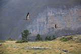 La travessa dels Pirineus per la A.R.P.