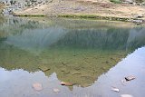 La travessa dels Pirineus per la A.R.P.