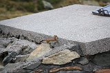 La travessa dels Pirineus per la A.R.P.