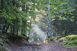 La travessa dels Pirineus per la A.R.P.