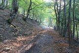 La travessa dels Pirineus per la A.R.P.