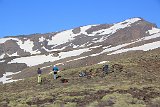 La travessa de Sierra Nevada