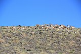 La travessa de Sierra Nevada