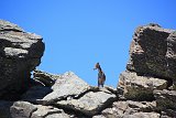 La travessa de Sierra Nevada