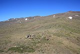 La travessa de Sierra Nevada