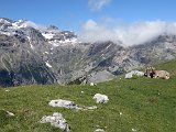 La Travessa del Pirineu pel GR-11