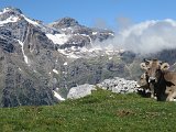 La Travessa del Pirineu pel GR-11