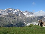 La Travessa del Pirineu pel GR-11