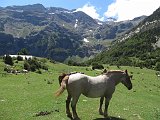 La Travessa del Pirineu pel GR-11