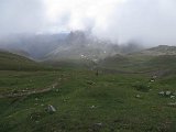 IMG 2808