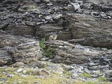 Volta al Massis de Monte Perdido