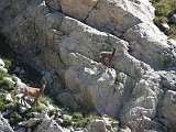 Volta al Circ dels Banys de Panticosa i els Inferns