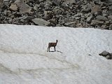 Volta al Circ dels Banys de Panticosa i els Inferns