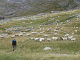 La Travessa del Pirineu pel GR-11