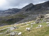 La Travessa del Pirineu pel GR-11