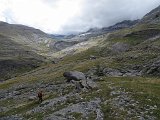 La Travessa del Pirineu pel GR-11