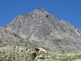 La Travessa del Pirineu pel GR-11