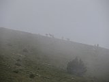 La travessa dels Pirineus per la A.R.P.