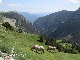 La travessa dels Pirineus per la A.R.P.