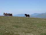 La travessa dels Pirineus per la A.R.P.