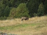 La travessa dels Pirineus per la A.R.P.