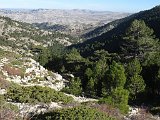 IMG 7490