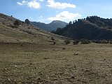 IMG 7546