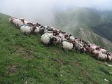 La travessa dels Pirineus per la A.R.P.