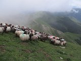 La travessa dels Pirineus per la A.R.P.