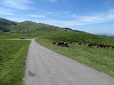 La travessa dels Pirineus per la A.R.P.