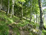 Voltetes per Navarra. Pirineus occidentals